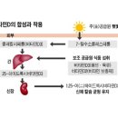 ■ 비타민D, 지구촌 항생제 내성 맞설 슈퍼 영양소? 이미지