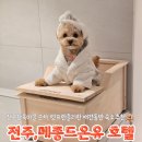 이마트24전주아중마을점 | 전주아이랑 애견동반 숙소 추천 메종드온유 전주 한옥마을점