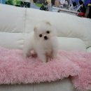 오목교역 6번출구 이미지