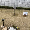 정인목장 이미지