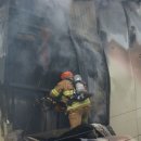 천안중앙초등학교 이미지