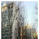 명일정원약국 이미지