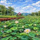 지리산호수공원 Daum카페