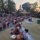 [상월결사 인도순례 33일차] 숲길·농로 지나 인도·네팔 국경 14km 앞까지 이미지