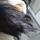 팝콘헤어샵 | [평택/신장동] 르무이헤어 본점 :: 송탄역미용실 평택미용실 추천