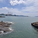 김밥물래제비물래