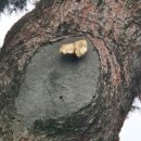 거창-거창-5 이미지