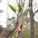 순만농장 이미지