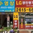 LG(합동)공인중개사사무소 네이버블로그