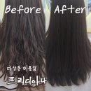 법원도서관 앞 | [리뷰] 다산동미용실 프리디아나 디자인상담컷 아로마헤드스파 후기