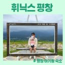 해피약국 | [아기랑 숙소] 평창 휘닉스 파크 패키지 이용 후기(조식 or 중식 + 루지 + 곤돌라 + 워터파크)
