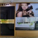 샤플리 네이버블로그