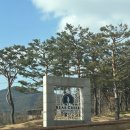 주JDX | 포천 골프장 <베어크리크 CC - 크리크코스> 3인골프/ 11월 말 라운딩 날씨/ 복장
