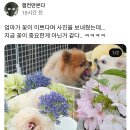 제일통닭 네이버블로그