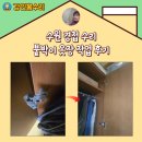 정자1동 | 수원 경첩 수리 붙박이 옷장 교체 작업 후기