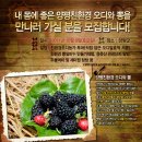 투어 팜(TOUR FARM)