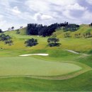 떼제베CC(대중제) 이미지