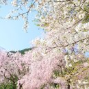 보인한의원 이미지