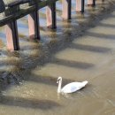 드렁큰 샐러드 | 드렁큰 동유럽(Day10)_마지막 날 프라하 중앙역 물품보관소, 우핀카스, 하벨 국제공항 마스터카드...