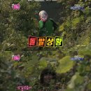 세운버스 이미지