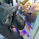 똥꾸댕댕 | 밍구와 다옹이 24년 1분기 일기