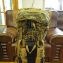 황무로 4 이미지