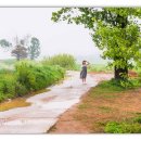 젊은날의수채화 이미지