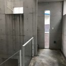 은행나무공원 이미지