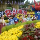 진안홍삼 이미지