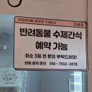 우프테이블 이미지