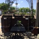 카페쿠시 이미지