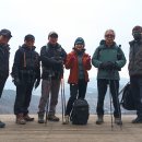 20250316-경기 과천시 서울대공원 산림욕장길 이미지