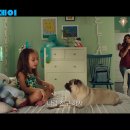 해피 도그 데이 이미지