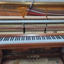현 피아노 교습소 | 남양주 피아노 조율 소리가 달라져요(남양주시 평내동 영창 U-121 피아노 조율)