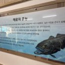 메로 이미지