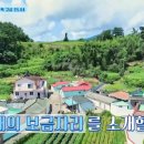 고성포교 민박 이미지