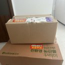 임신일기 👶🏻 | #6. 경기도 임산부 친환경 농산물 후기