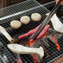 숲속통나무펜션 | 밀양 개별바베큐 펜션 리뷰 ‘통나무숲속마을펜션’