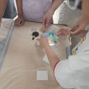 이리삼성초등학교 이미지