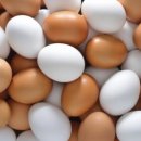 럭키헬스 이미지