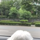 혜안약국 이미지