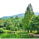 송곡지 | 공주여행 불장골저수지 겨울 후기 봄가을에 가야 더 예쁜 이유