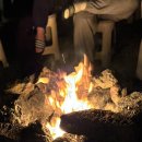 제주도게스트하우스 협재정류장 | 제주도 여자 혼자 여행 숙소 추천 협재 게스트하우스 협재정류장 포트럭파티 후기 가격