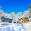 진카정비센터 이미지