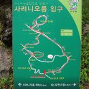 사려니오름을 찾아 사람의 발길이 드문 `한남시험림` 속으로.... 이미지