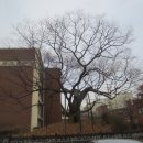 부천여중 이미지