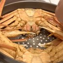 영덕해산물 | 집에서 즐기는 해산물 파티｜영덕대게센타42호 택배 주문 후기