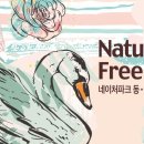 온천스파벨리 이미지