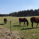 대로2목장 이미지