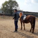 경주몽협동조합 네이버블로그